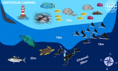 Lighthouse Channel